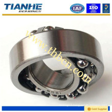 Ceramic Ball Bearing, Spherical Bearing, Double Row Bearing